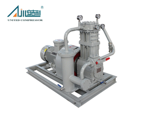 ZW-0.8/16-24 Liquefied Gas Compressor