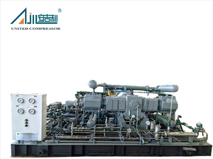 DW-3.8/(4-6)-15 Nitrogen Compressor