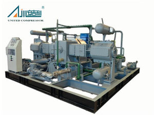 DW-6.3/(0.2~0.5)-16 Ammonia Refrigeration Piston Compressor