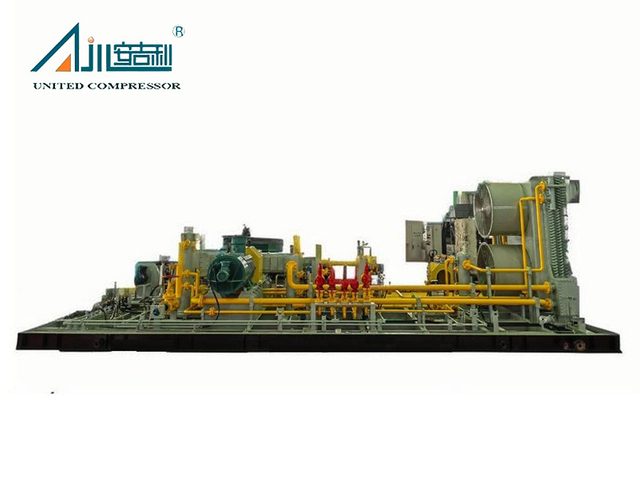 DWFD-6.7 / (0.2-0.5) -55 Special Gas Compressor