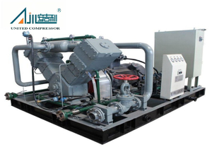 VW-6.6/(2-3)-7 Natural Gas Compressor