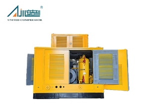 DFD-1.36/ (30~50)-250 Natural Gas Compressor