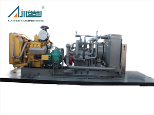 SF-10/250 (Diesel Generator)