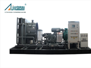 DWF-4.1/(18-25)-45 Natural Gas Compressor