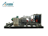 DFW-4.2 (0.2-1.5)-12 Special Gas Compressor
