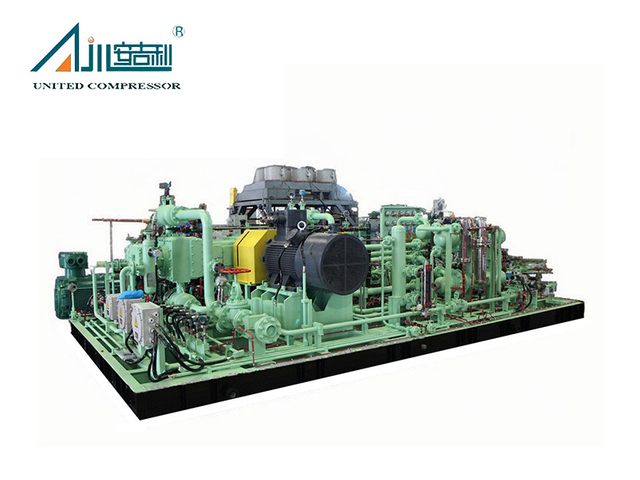 DW-6.4 / 0.4-19.9 Raw Gas Compressor