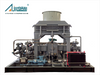 DF-0.45/(8-10)-250 CNG Compressor 