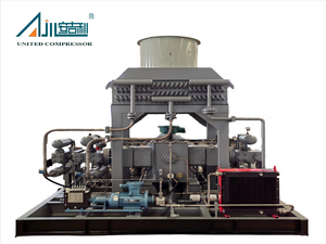 DF-0.45/(8-10)-250 CNG Compressor 